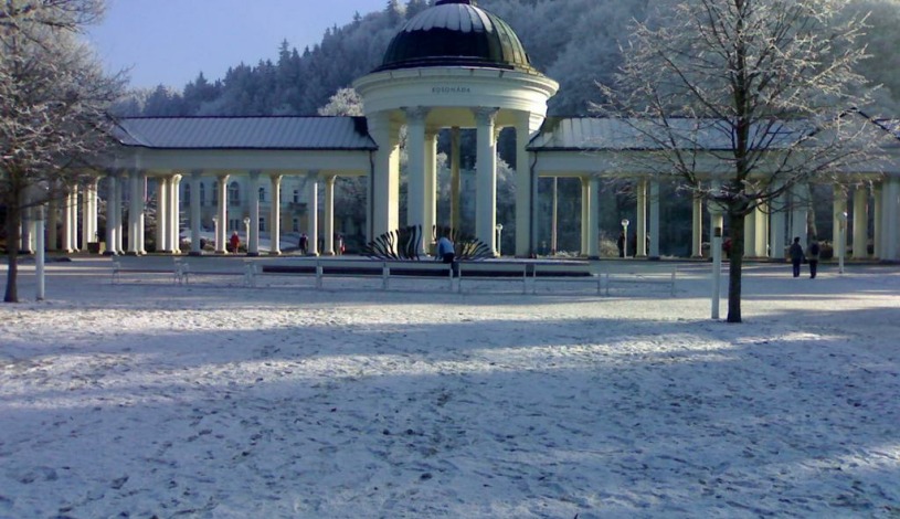 Top Apartmány - Lesní  Mariánské Lázně